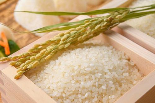 3D QUY TRÌNH SẢN XUẤT GẠO VIETNAMESE